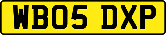 WB05DXP