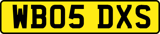 WB05DXS