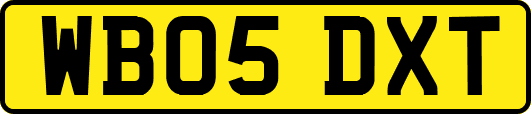 WB05DXT