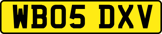 WB05DXV