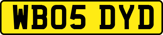WB05DYD