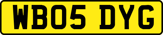 WB05DYG