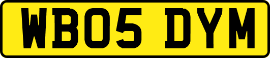 WB05DYM