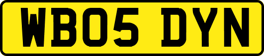 WB05DYN