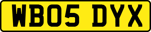 WB05DYX