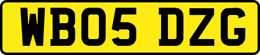 WB05DZG