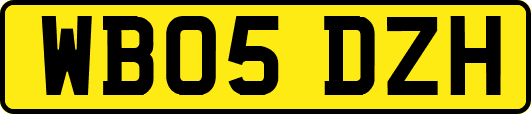 WB05DZH