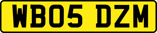 WB05DZM