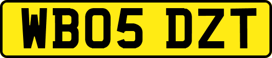 WB05DZT