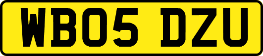 WB05DZU