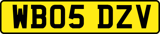 WB05DZV