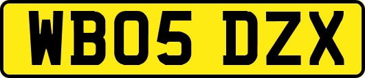 WB05DZX