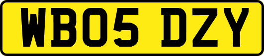 WB05DZY