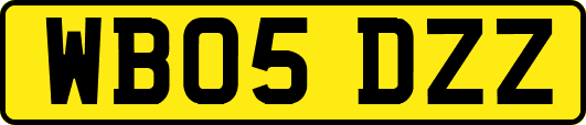 WB05DZZ