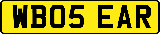 WB05EAR