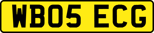 WB05ECG