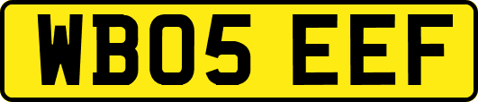 WB05EEF