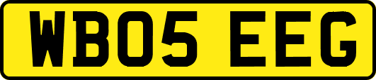 WB05EEG