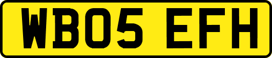 WB05EFH