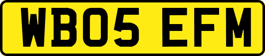 WB05EFM
