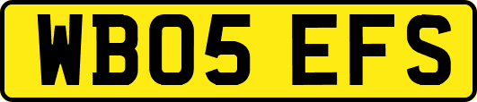 WB05EFS
