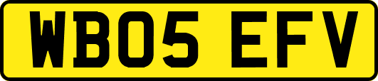 WB05EFV