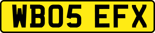WB05EFX