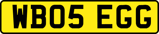 WB05EGG