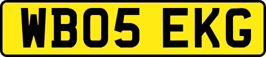 WB05EKG