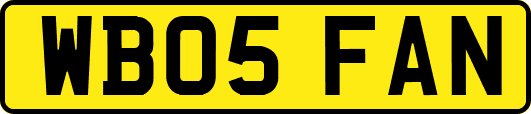 WB05FAN