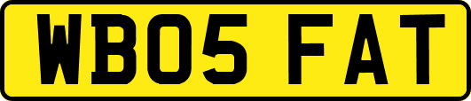 WB05FAT