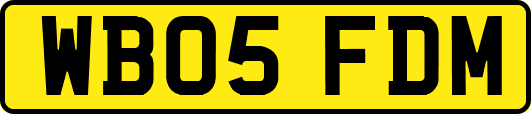 WB05FDM