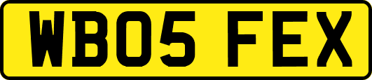 WB05FEX