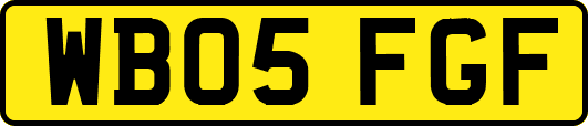 WB05FGF