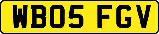 WB05FGV