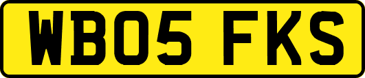WB05FKS
