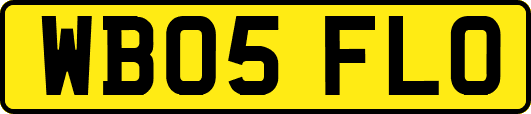 WB05FLO