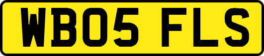 WB05FLS