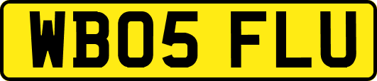 WB05FLU