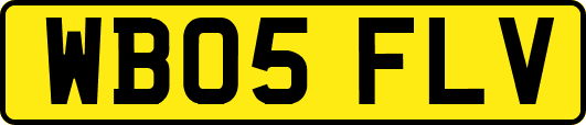 WB05FLV