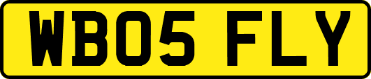 WB05FLY