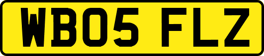 WB05FLZ