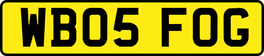 WB05FOG