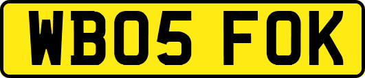 WB05FOK