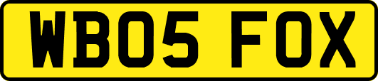 WB05FOX