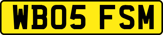 WB05FSM