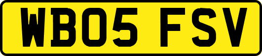 WB05FSV