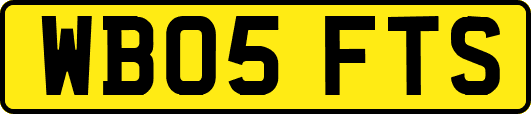 WB05FTS