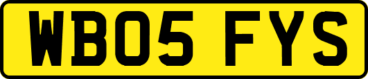 WB05FYS