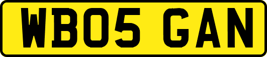WB05GAN